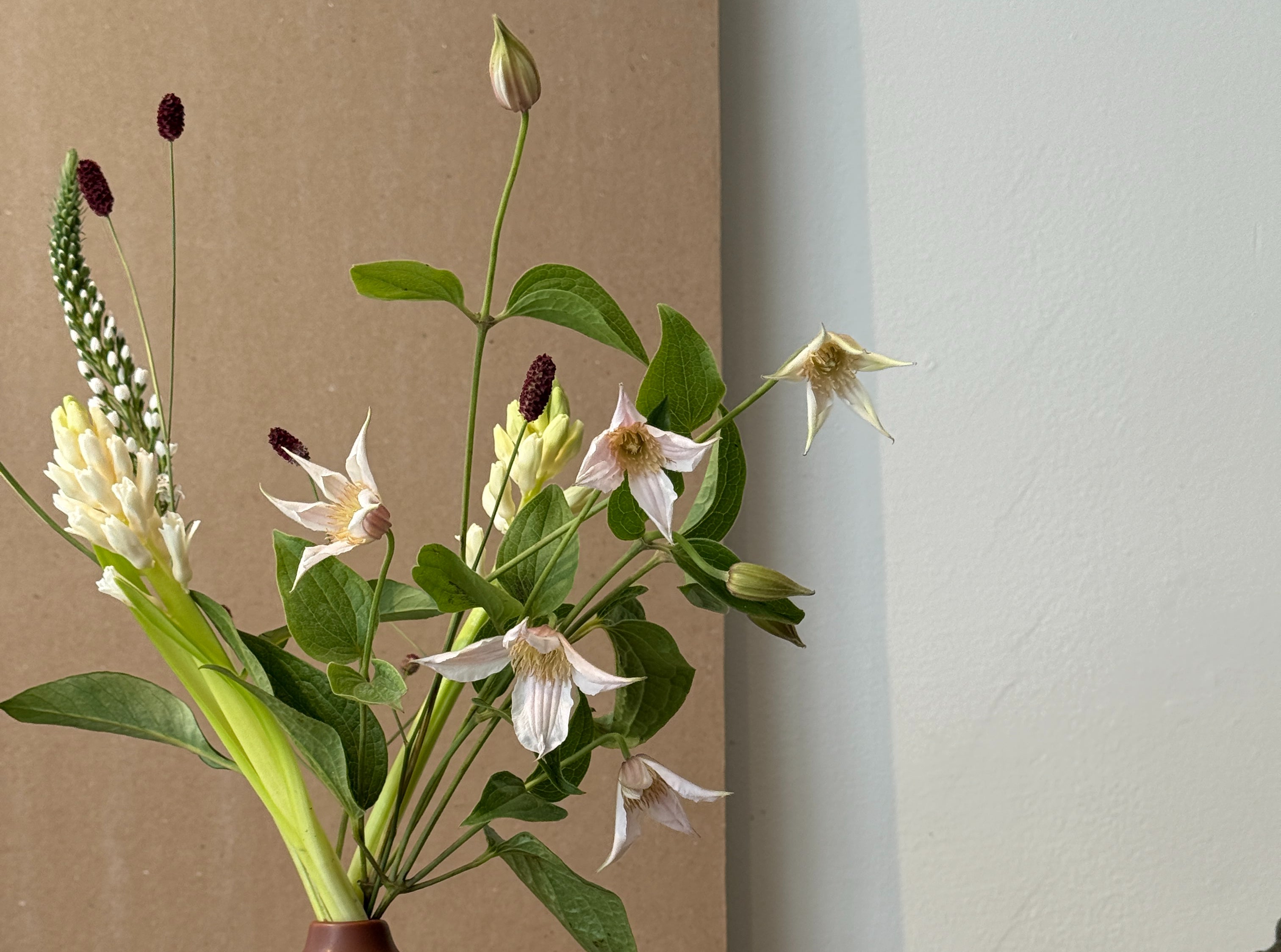Spring interlude image 1