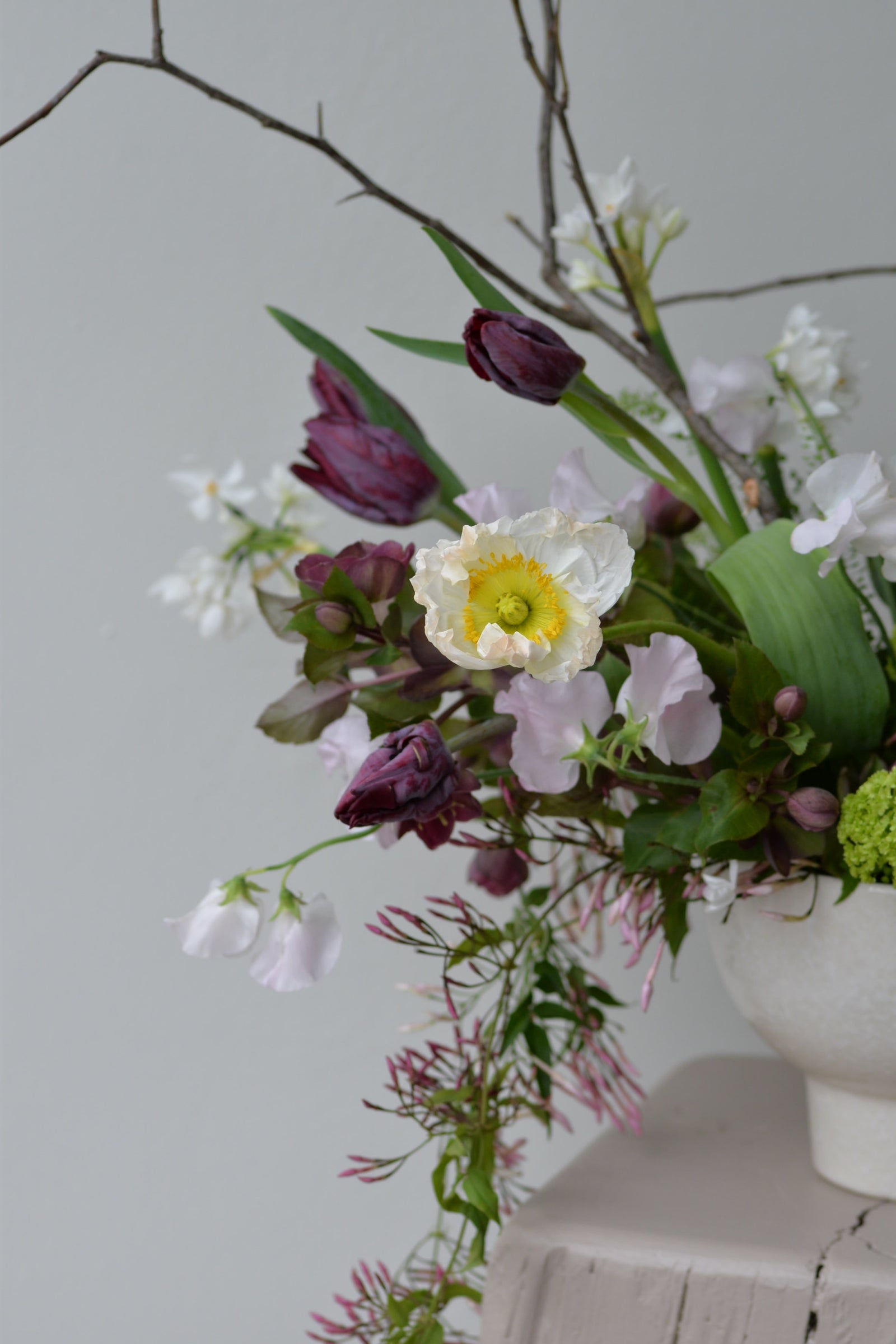 A Week of Special Days...April 21, 2024 - Bloomfields