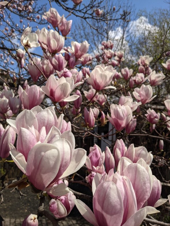 Administrative Professionals ROCK!... April 19, 2021 - Bloomfields