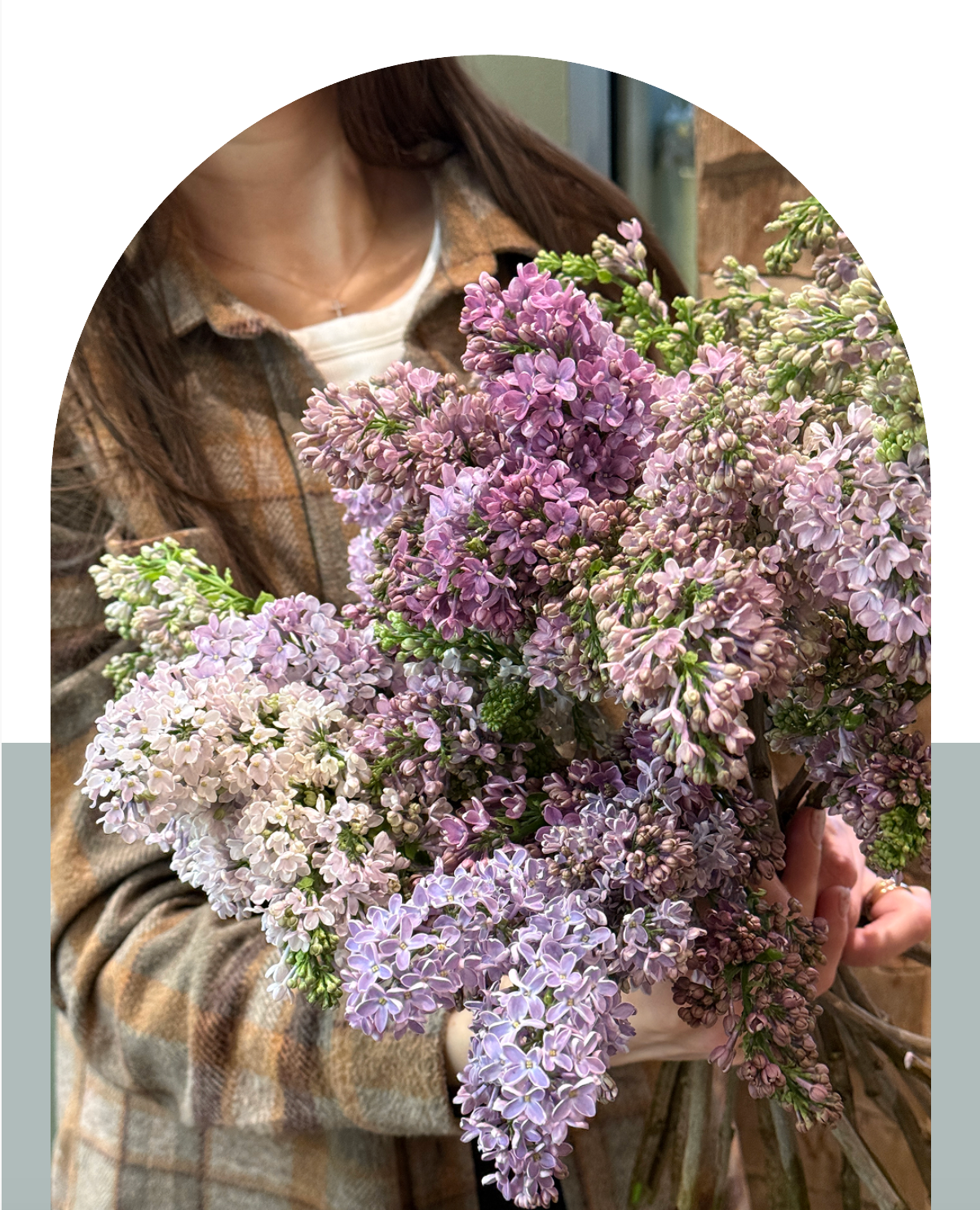 April is here... April 5, 2026 - Bloomfields