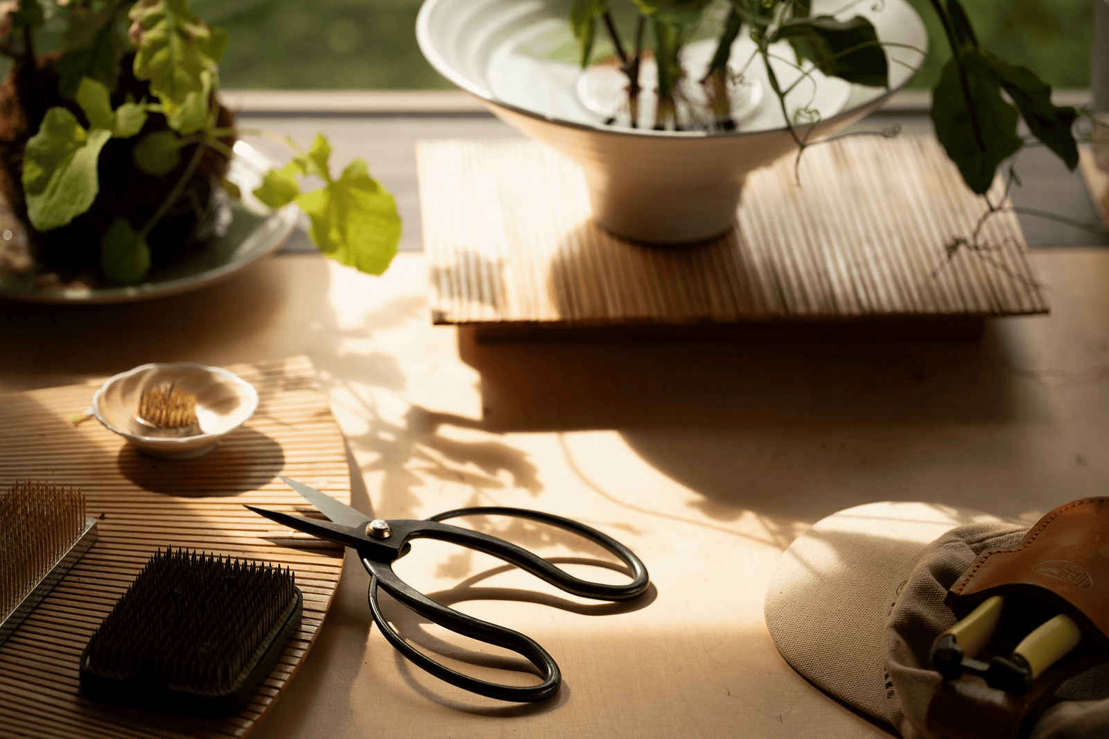 Enjoy simple summer pleasures ☀️... July 14, 2025 - Bloomfields