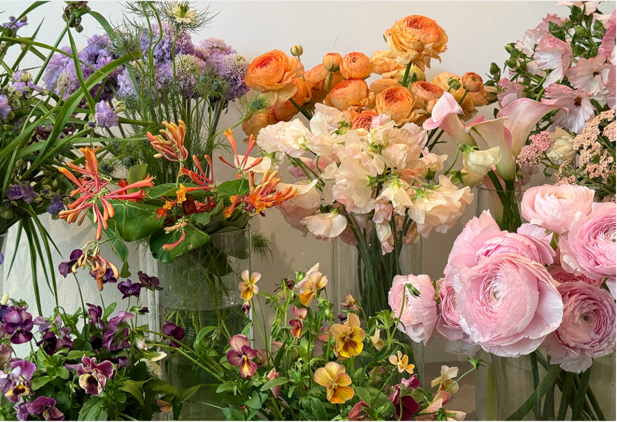 Every Canadian summer begins with flowers...  July 6, 2026 - Bloomfields