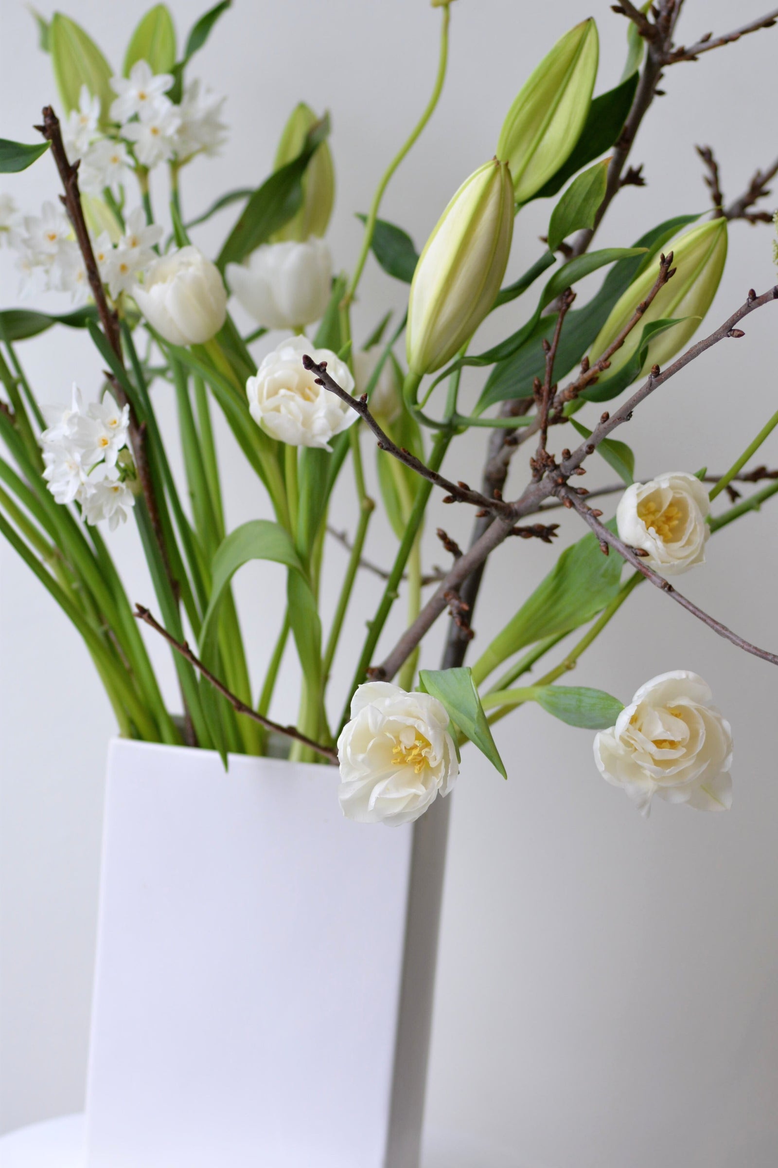 February flowers make everything better... February 1, 2024 - Bloomfields