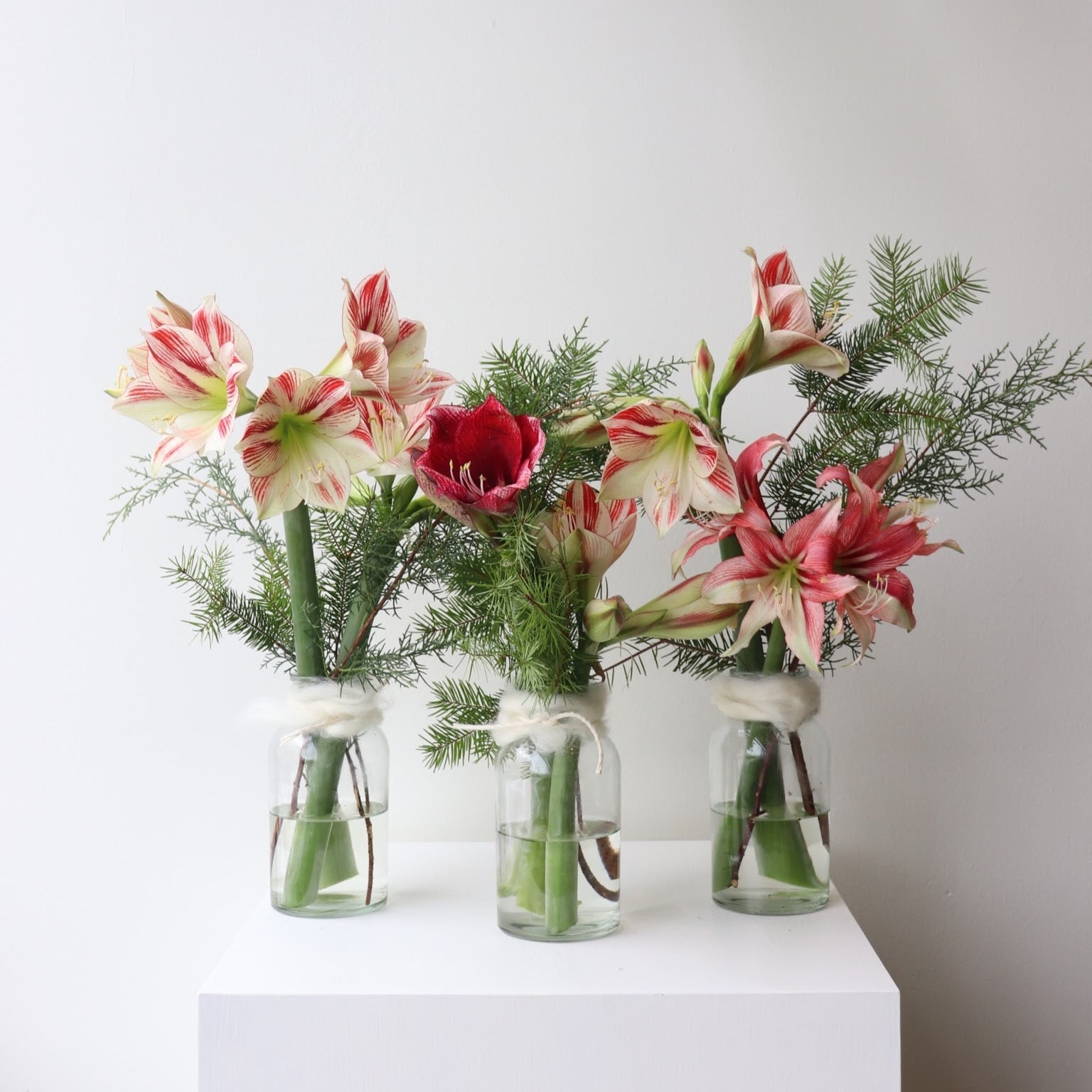 Holiday Designs Inspired by Winterlight... Nov 23, 2022 - Bloomfields