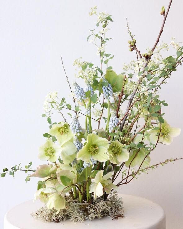 Hope Springs Eternal... April 1, 2022 - Bloomfields