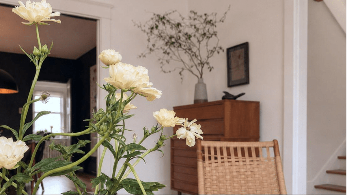 Living in Bloom... June 20, 2026 - Bloomfields