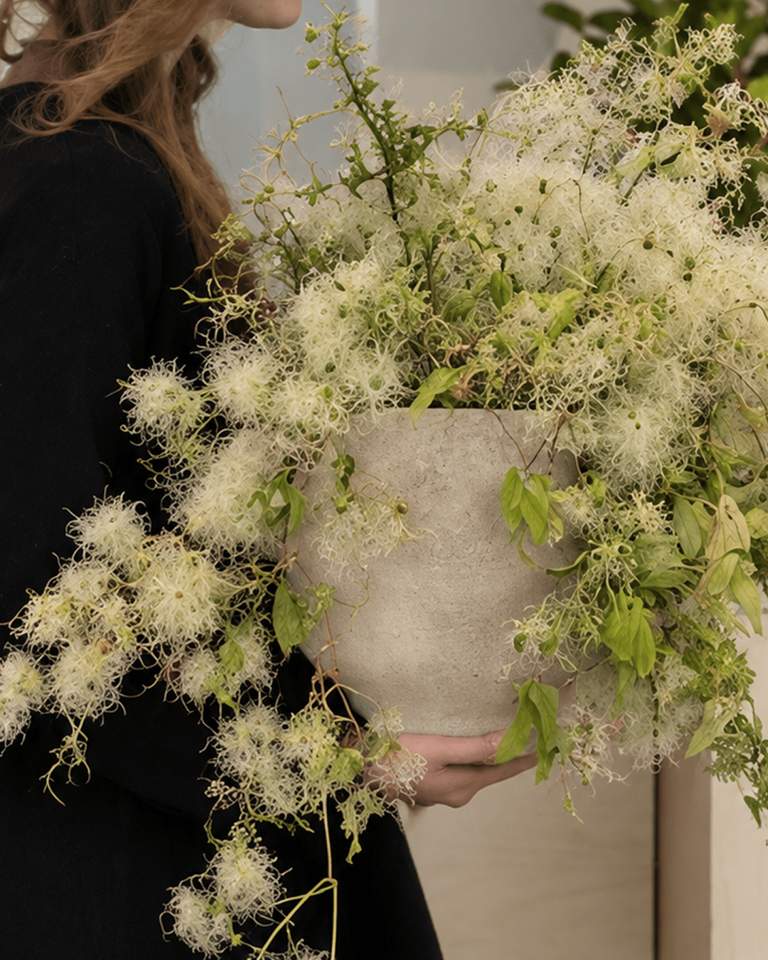 Living in Bloom | The Season Deepens ... October 1, 2026 - Bloomfields