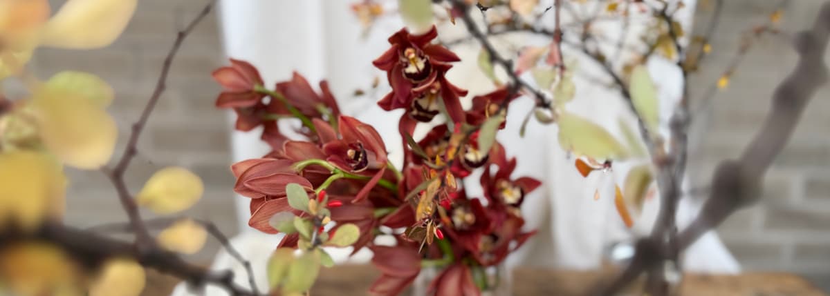 November has arrived - and so have new holiday pieces... Nov 03, 2025 - Bloomfields