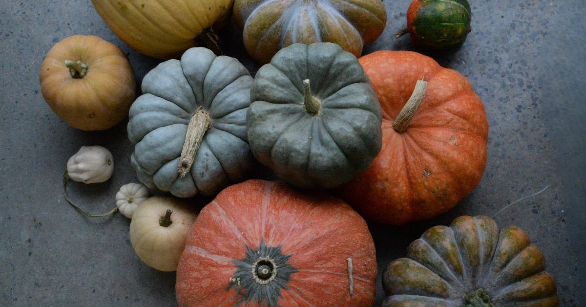 Pick a Pumpkin, Feed a Family... October 5, 2024 - Bloomfields