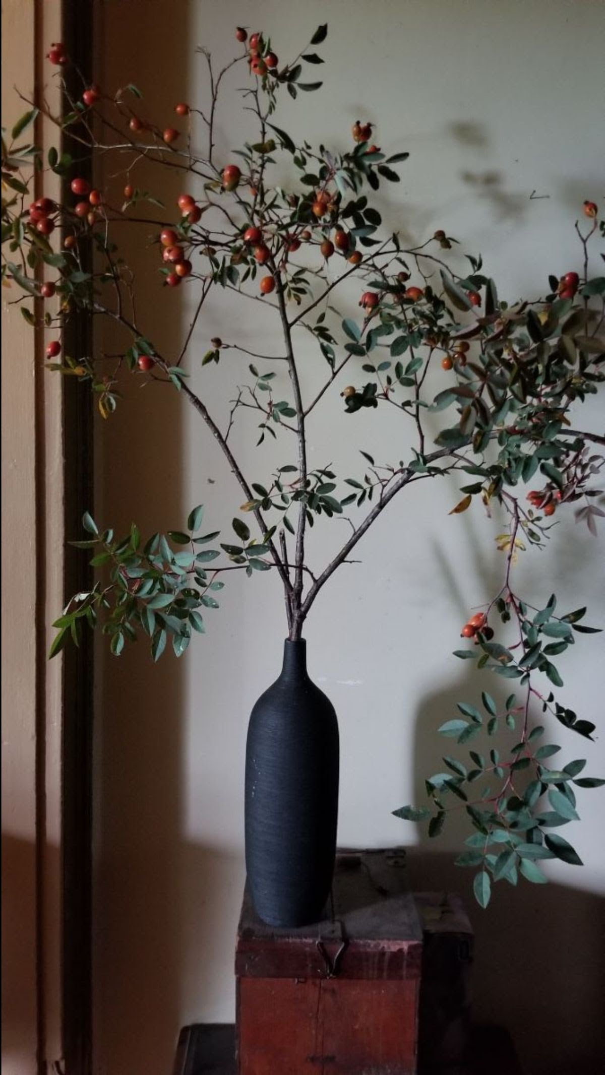 September Nostalgia and Forging Ahead... Sept 1, 2020 - Bloomfields