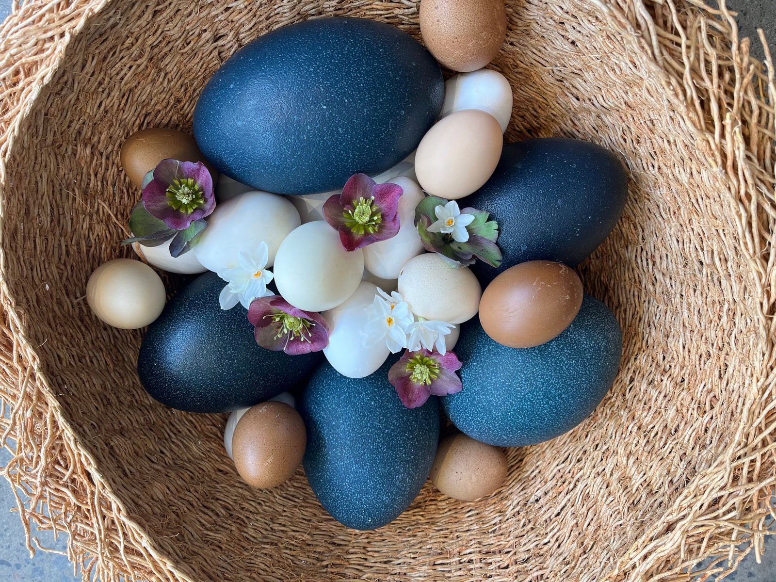 Spring Plans and Easter Preparations... March 26, 2024 - Bloomfields