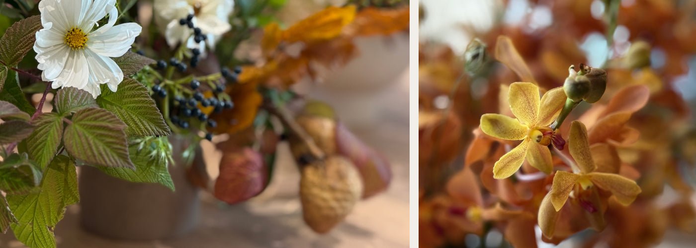 Thanksgiving 2025 Collection... Sep 24, 2025 - Bloomfields