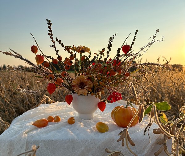 Thanksgiving is almost here!... October 9, 2024 - Bloomfields