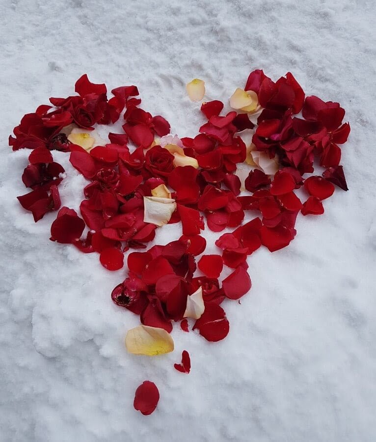 This is Canada... Feb 13, 2019 - Bloomfields