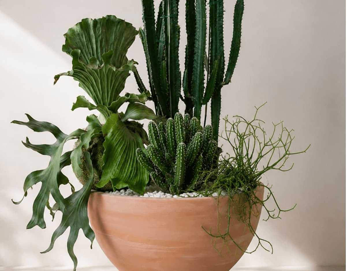 Thoughtful Gifts for Father's Day... Jun 15, 2026 - Bloomfields