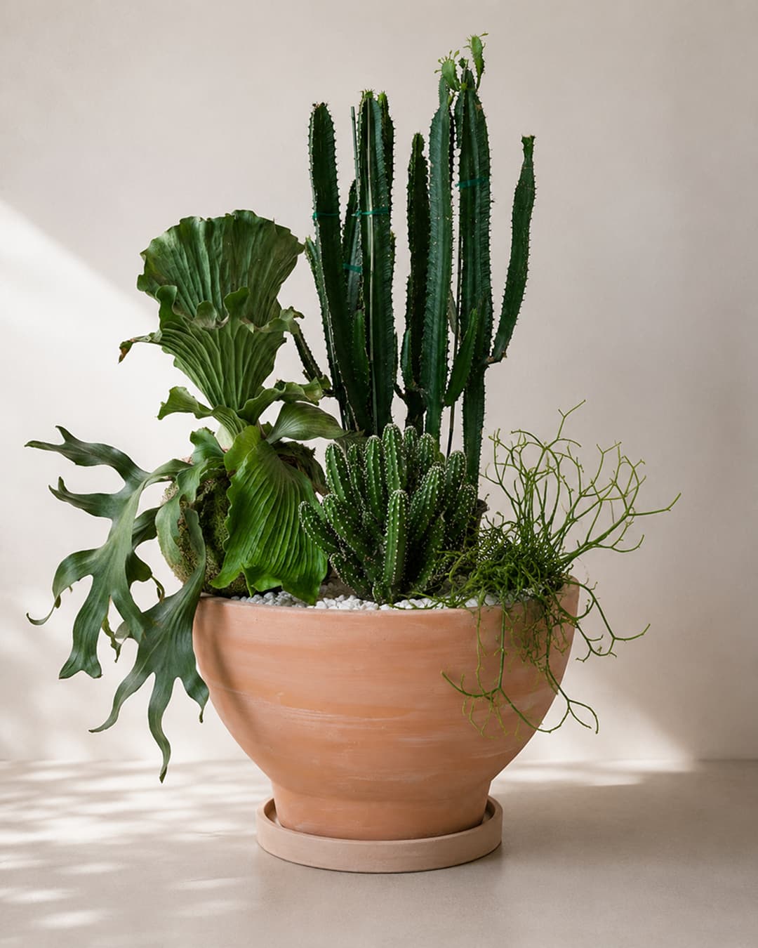 Thoughtful Gifts for Father's Day... Jun 15, 2026 - Bloomfields