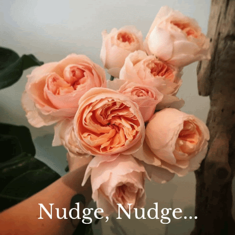 Nudge, nudge.  Wink, wink... Feb 9, 2018