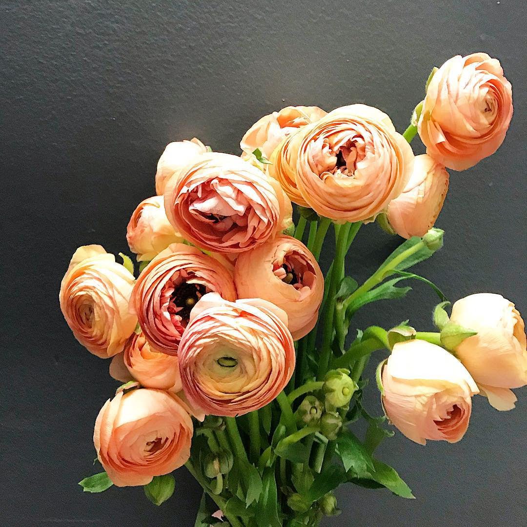 Updates from Bloomfields... March 23, 2020 - Bloomfields