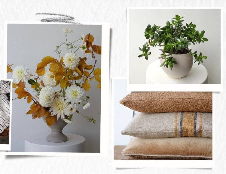 Welcome Back... Sept 12, 2023 - Bloomfields