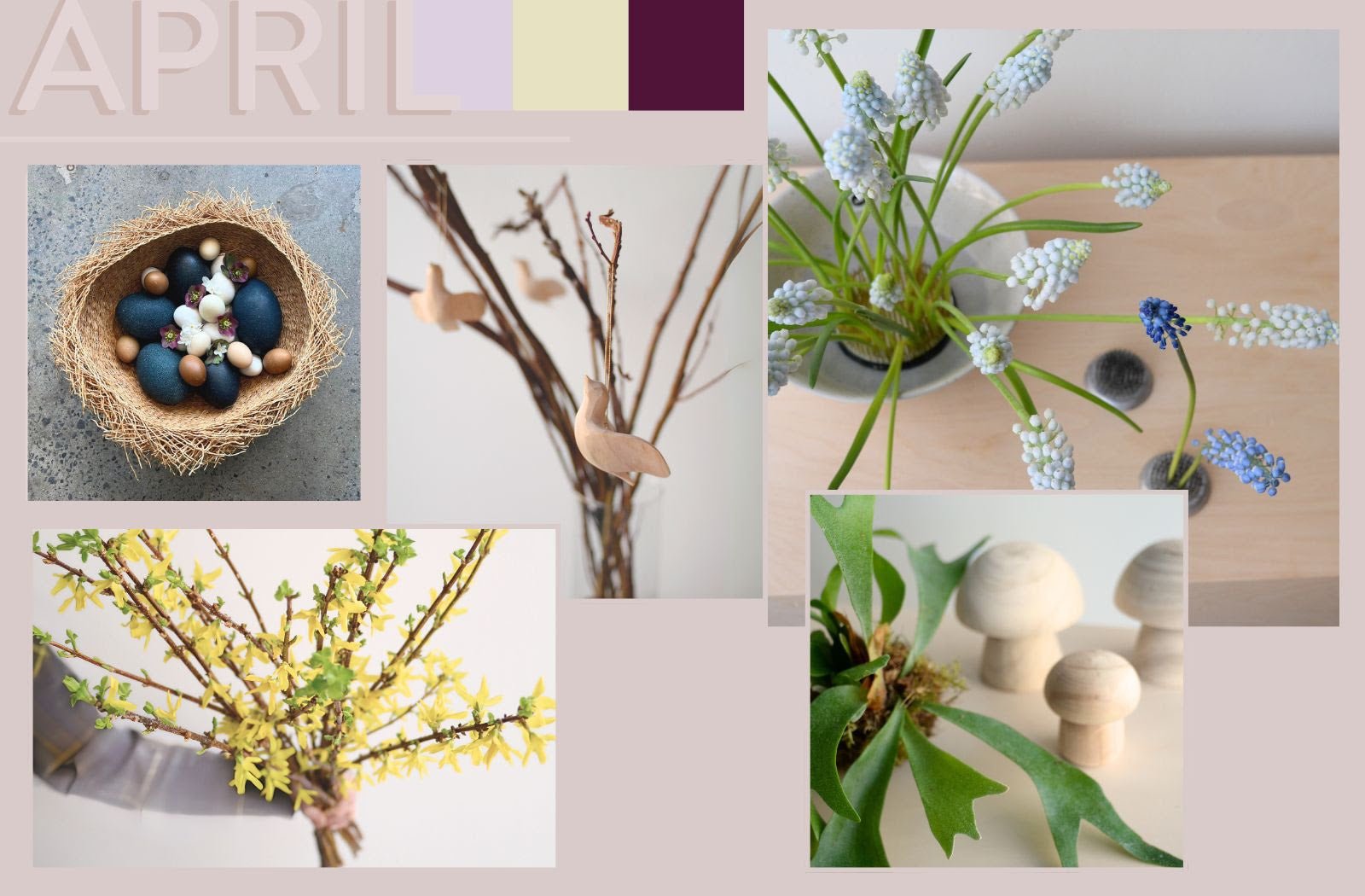 Welcome Spring! 🐣🌸 What's happening this month... April 7, 2025 - Bloomfields