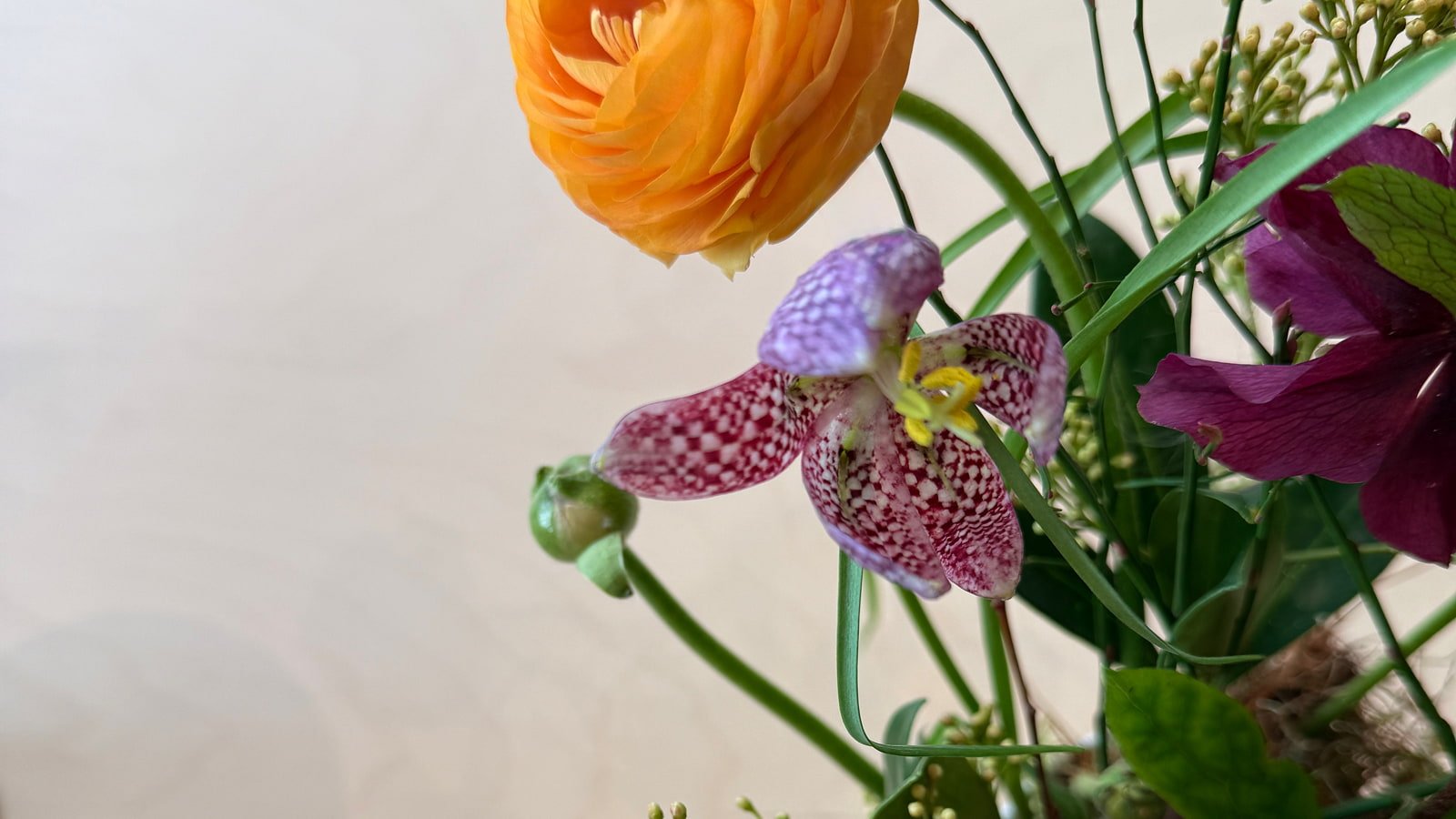 Welcome Spring with Flowers... Mar 23, 2026 - Bloomfields