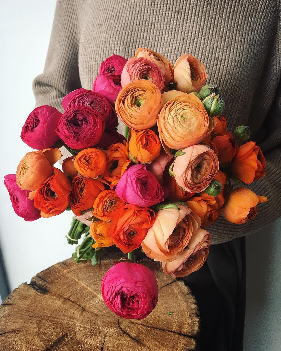 What's Blooming this Month... April 7, 2017 - Bloomfields