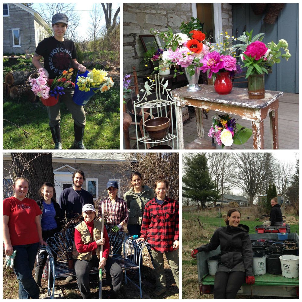 What's Blooming this Month... June 13, 2016 - Bloomfields