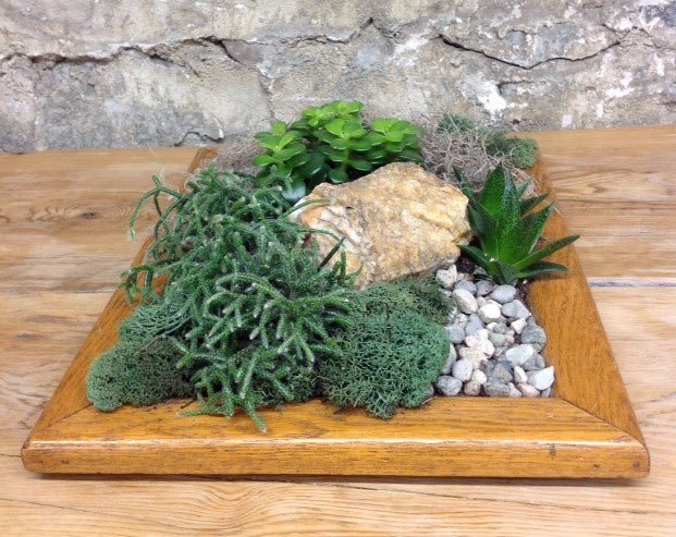 What's Blooming this Month... March 2, 2016 - Bloomfields