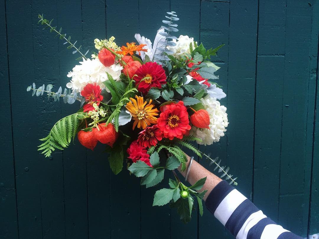 What's Blooming this Month... Oct 7, 2016 - Bloomfields