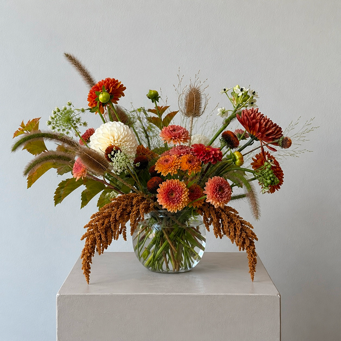 HARVEST | Arrangement
