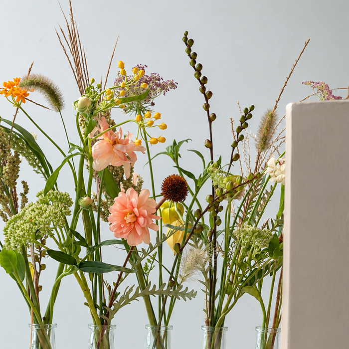 MEADOW | Arrangement