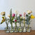 Designer's Choice Blooms in Bottle Set