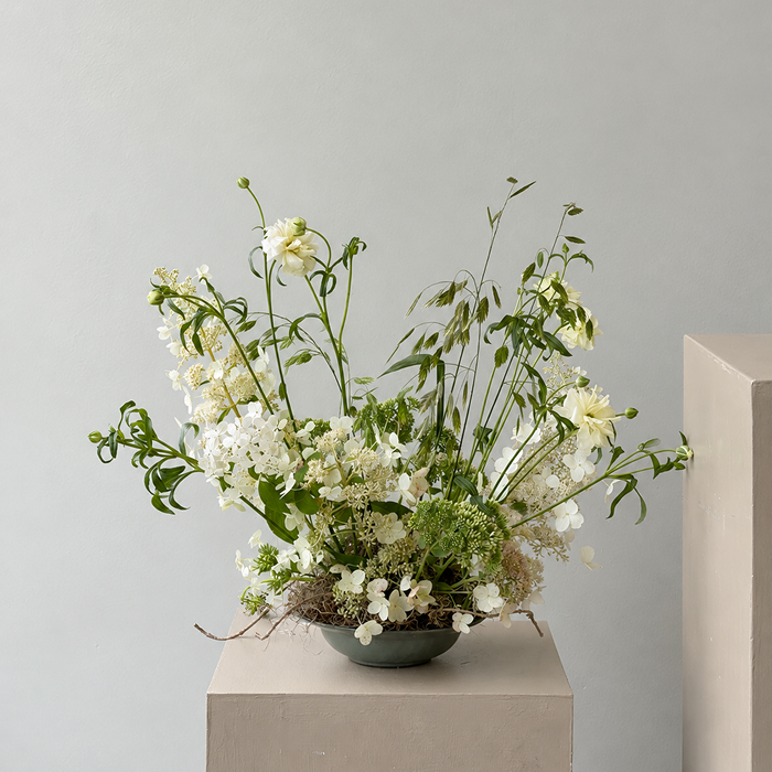 WISP | Arrangement