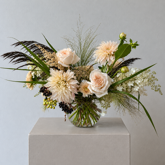PALE | Arrangement