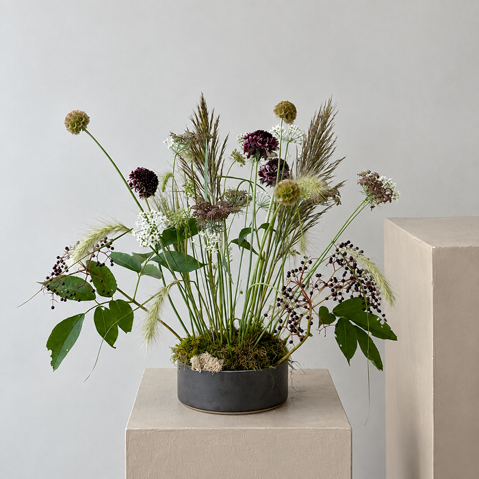 STEM | Arrangement