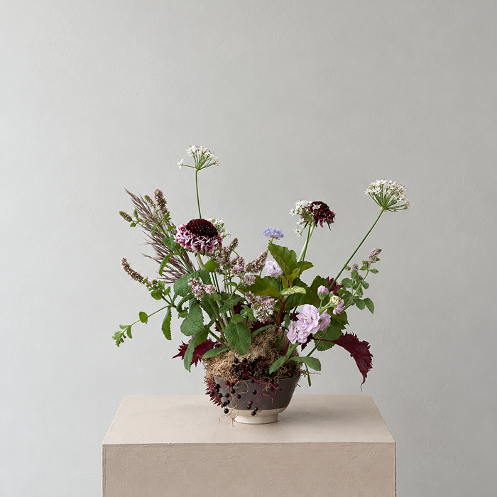 THICKET | Arrangement