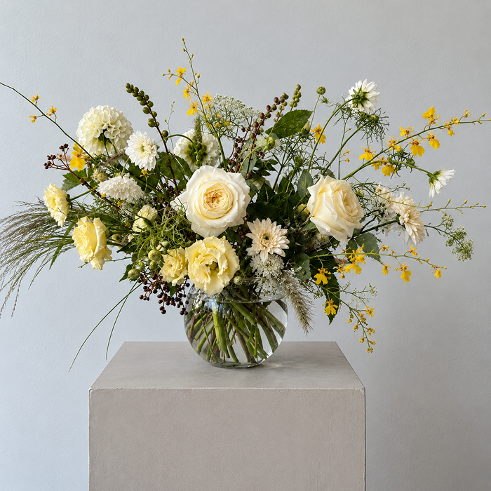 FIELDS | Arrangement