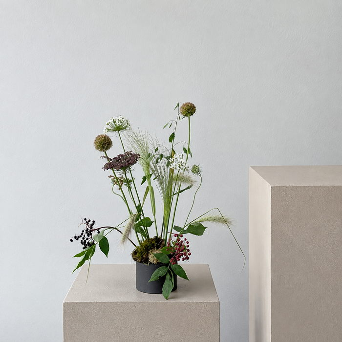 POISE | Arrangement