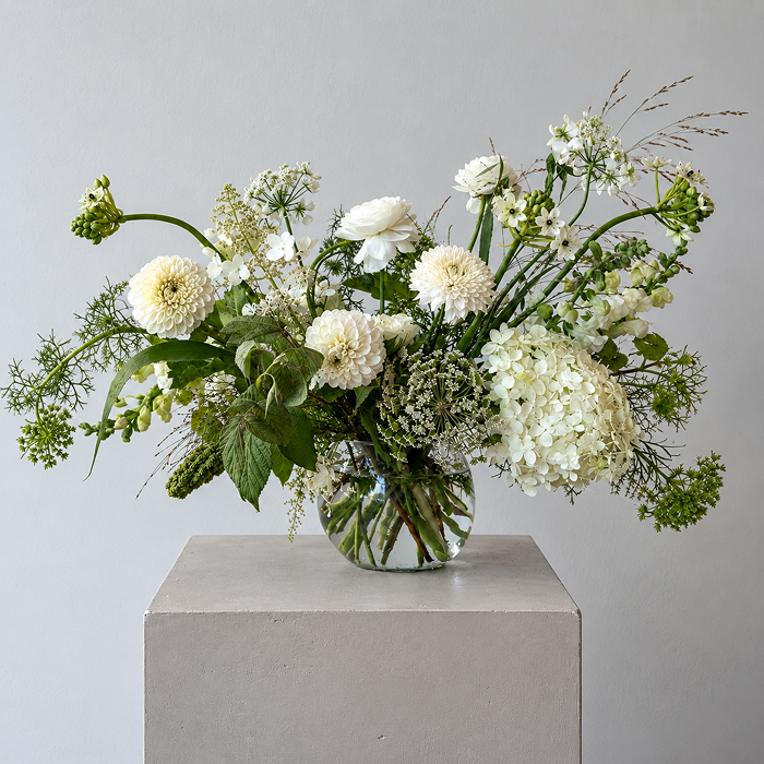 QUIET | Arrangement