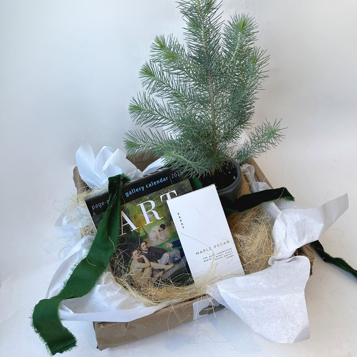 Desktop Delight Gift Package - Bloomfields