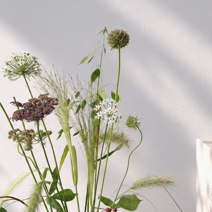 POISE | Arrangement