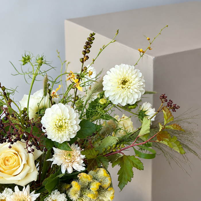 FIELDS | Arrangement