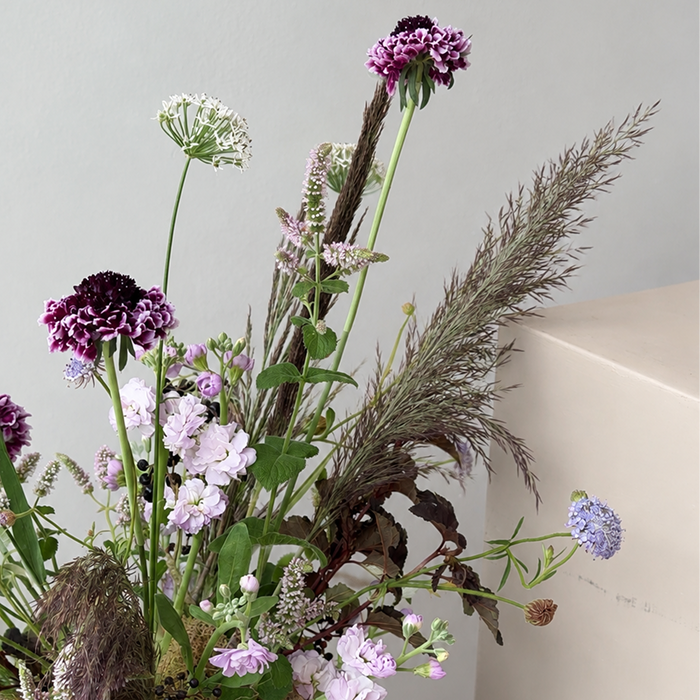 GROVE | Arrangement