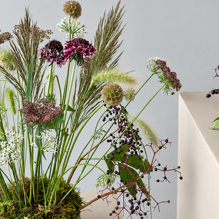 STEM | Arrangement