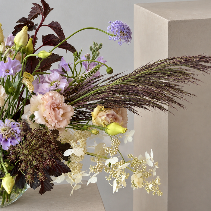 DUSK | Arrangement