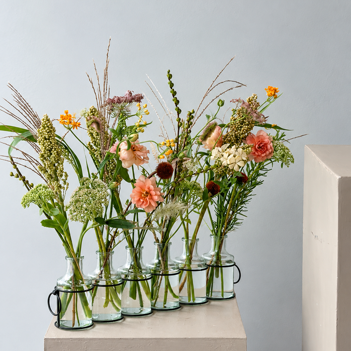 MEADOW | Arrangement