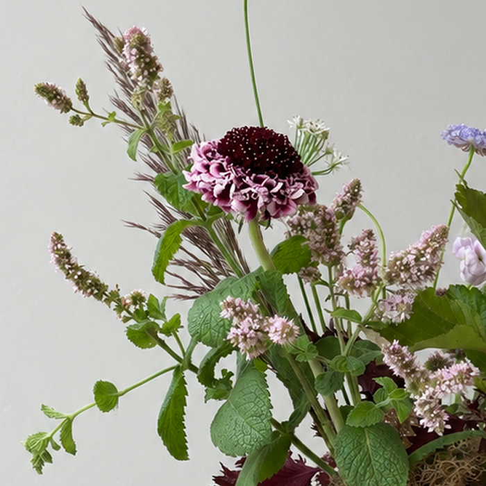 THICKET | Arrangement