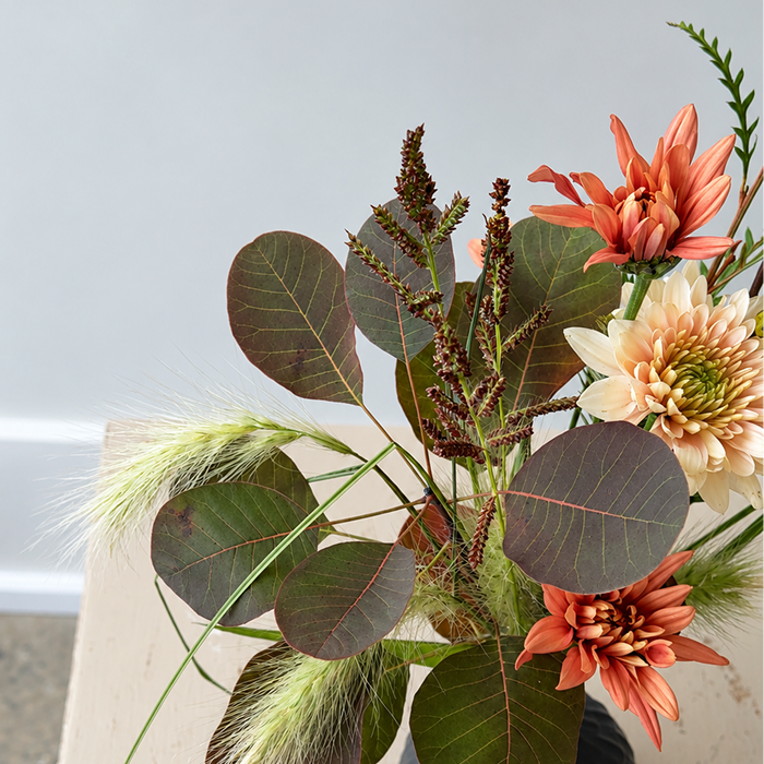 EMBER | Arrangement