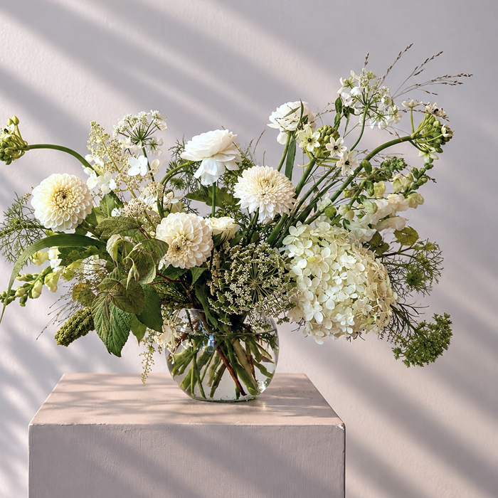 QUIET | Arrangement