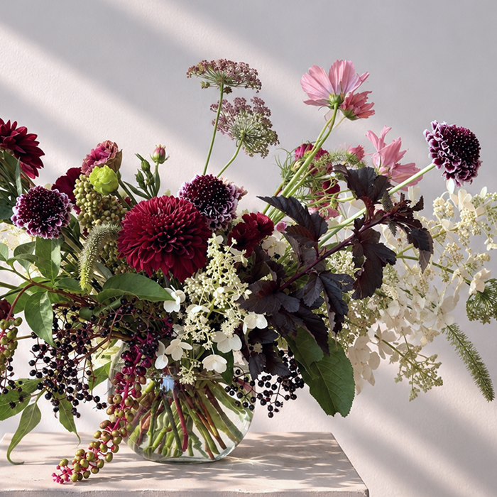 EARTHEN | Arrangement